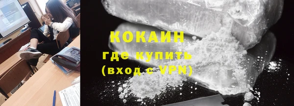 шишки Хадыженск